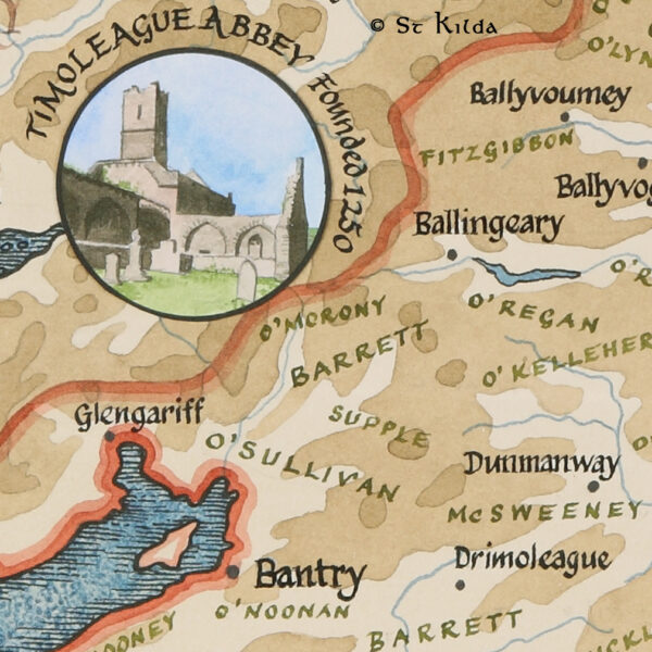 County Cork families map detail